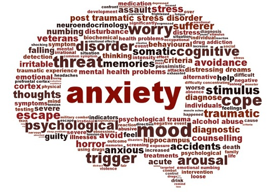 Does Forskolin Help with Anxiety?