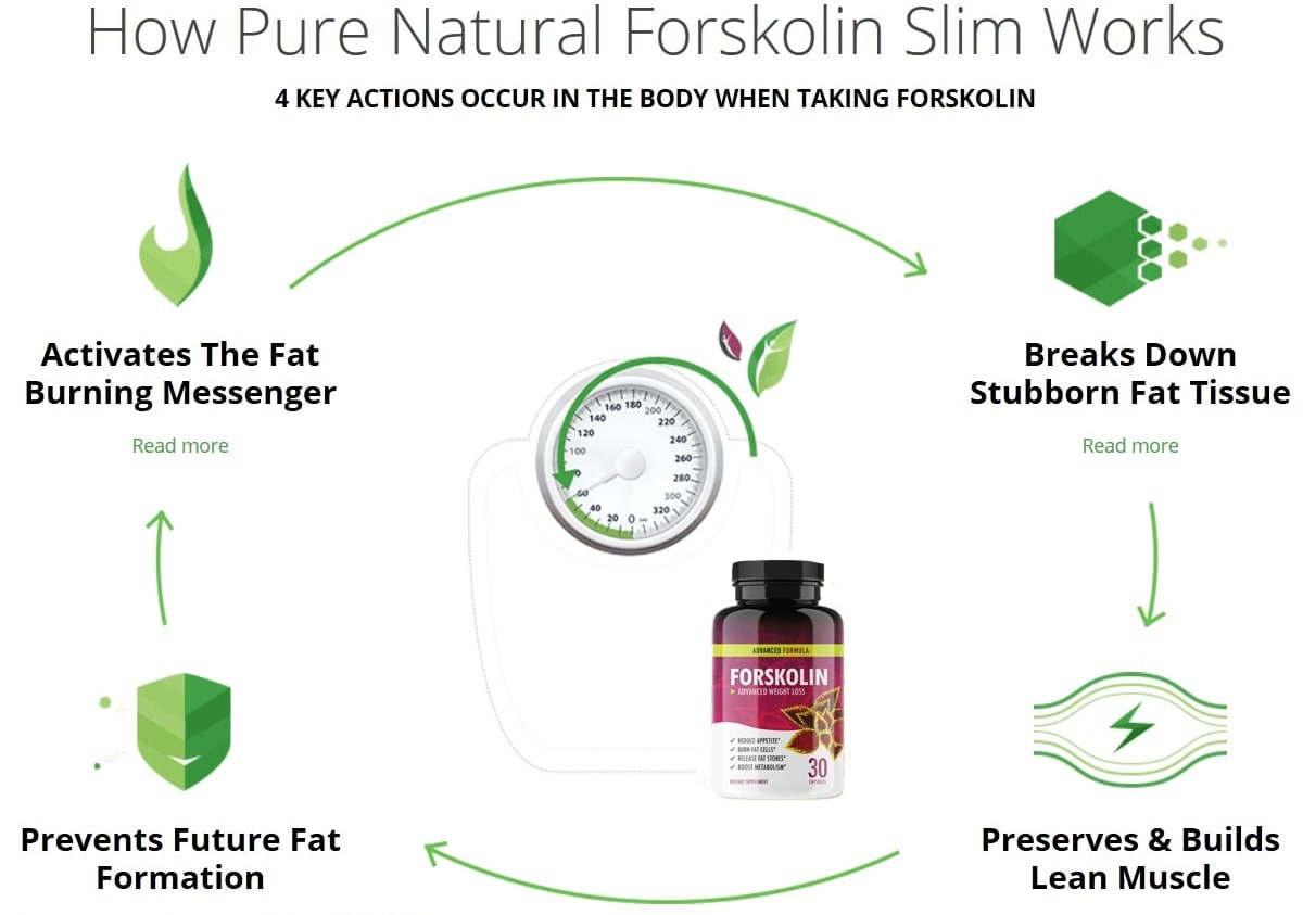 Buy Forskolin Weight Loss Supplement Youtube