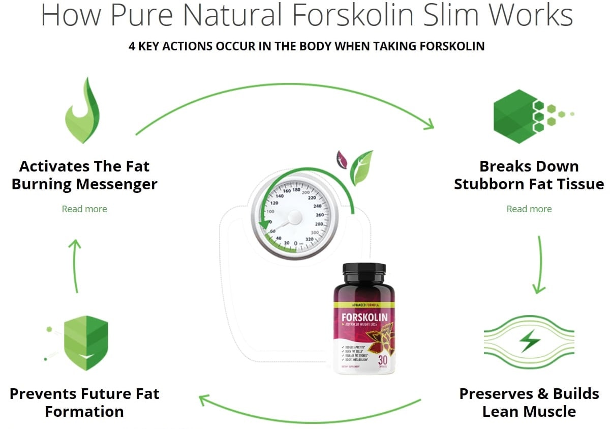 does forskolin work